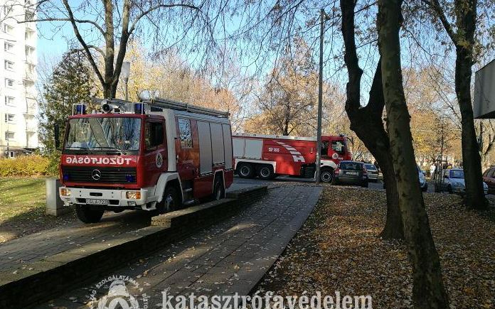 Ellenőrző gyakorlat Pakson