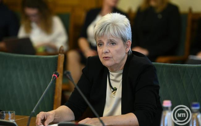 Eltörölné a kancellári rendszert a leendő oktatási miniszter